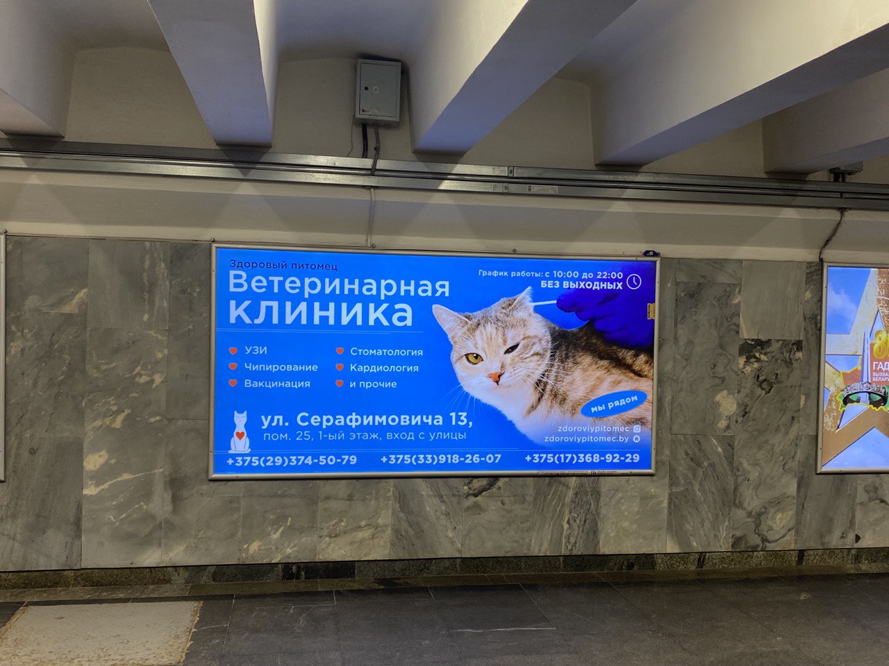 Реклама на щитах на станциях и в переходах Минского метрополитена